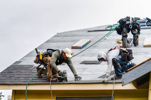 Professional Flat Roof Repair technician working in Garfield, MN